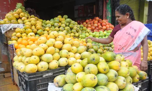 மாம்பழம் வரத்து 40 டன்னாக அதிகரிப்பு: விலை குறைந்ததால் மக்கள் மகிழ்ச்சி
