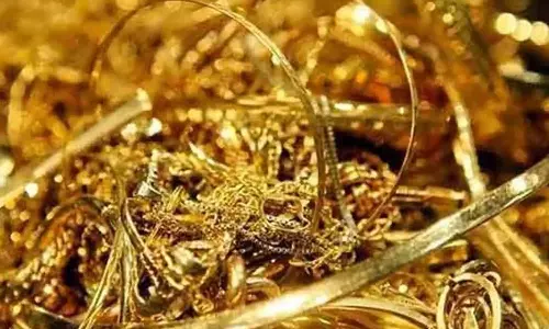 காரைக்குடி எண்ணெய் நிறுவன அதிகாரி வீட்டில் 100 பவுன் நகை-பணம் கொள்ளை