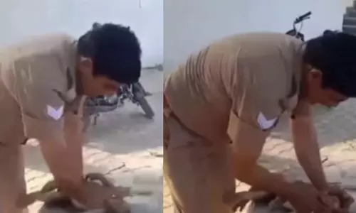 வெப்ப அலையால் பாதிக்கப்பட்ட குரங்கை காப்பாற்றிய போலீஸ் அதிகாரி