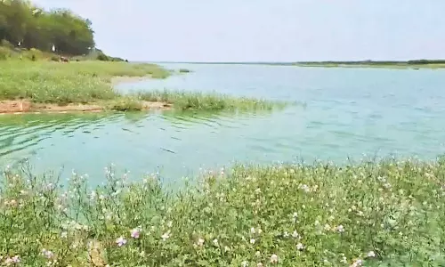 பச்சை நிறமாக மாறிய வீராணம் ஏரி தண்ணீர்... காரணம் என்ன?