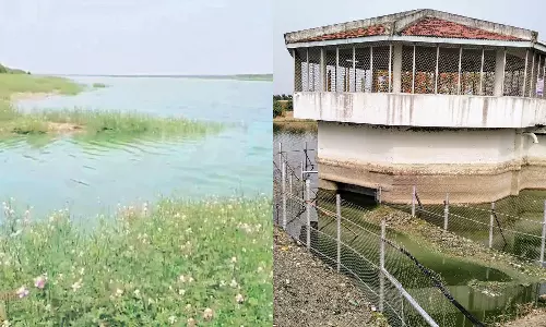 வீராணம் ஏரி நீர் சுத்திகரிக்கப்பட்ட பின்னரே சென்னைக்கு அனுப்பி வைக்கப்படுகிறது: அதிகாரி