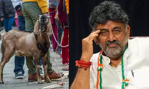 ஆடு, எருமை, பன்றிகள் பலியிட்டு யாகம் நடத்தப்பட்டதா?: டி.கே. சிவகுமார் குற்றச்சாட்டுக்கு கேரள அரசு விளக்கம்