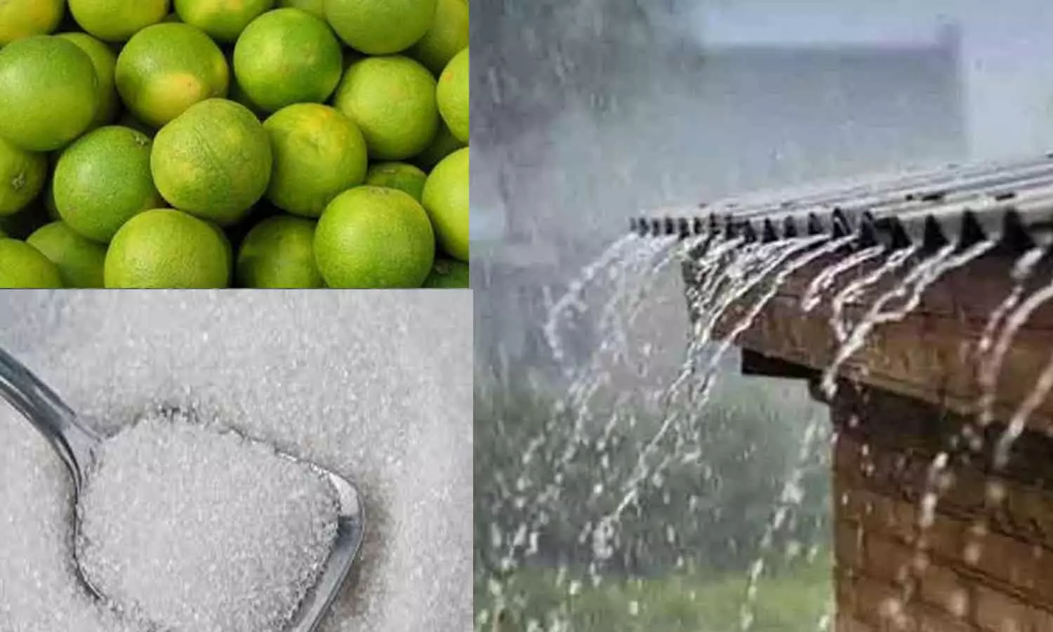 மொழியில் வரலாறு!