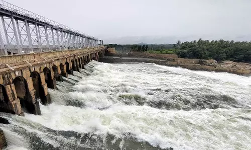 நெல்லை மாவட்ட விவசாயத்திற்கு கை கொடுத்த கோடை மழை: அணைகளின் நீர்மட்டம் உயர்வு