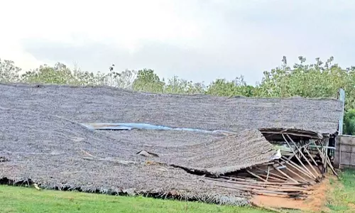 காற்றுடன் மழை- அகழ்வாராய்ச்சிக்காக அமைக்கப்பட்ட ராட்சத பந்தல் அடியோடு சாய்ந்தது