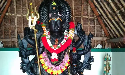 திரும்பிய  திசையெல்லாம்  நாய்கள்!