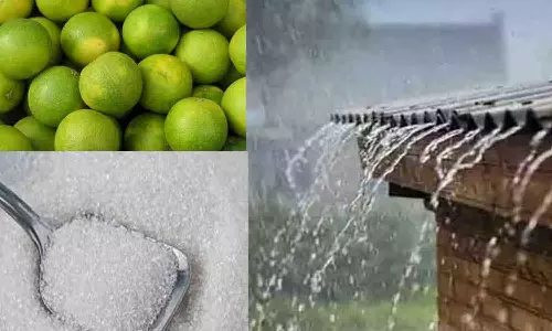 மொழியில் வரலாறு!