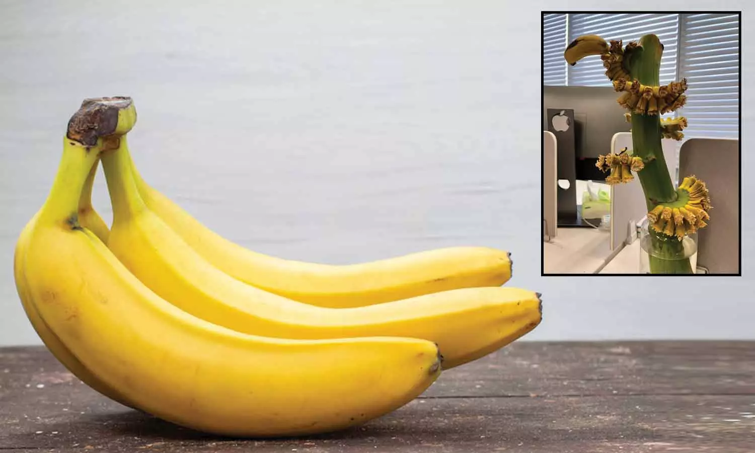 ஆஃபீஸ் மேஜையிலேயே 