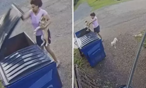 நாய் குட்டிகளை குப்பை தொட்டியில் வீசிய இளம்பெண்- வீடியோ