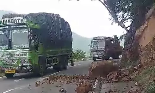 மலைப்பாதையில் மண் சரிவு- வாகன ஓட்டிகள் அவதி