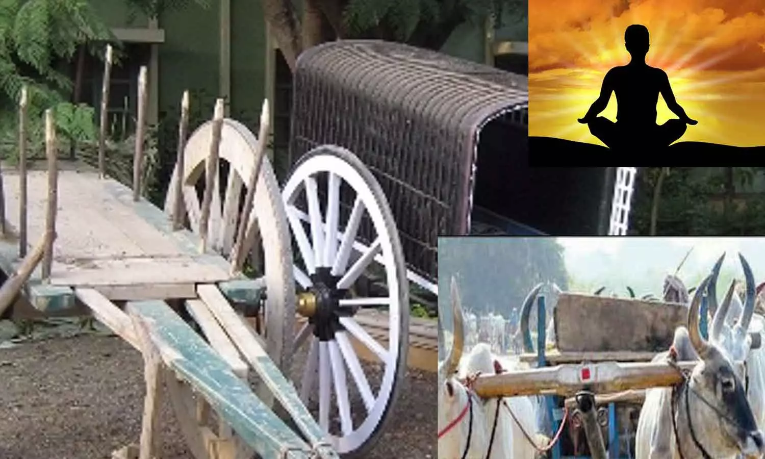 பூட்டாங்கயிறு பூட்டாங்கயிறு