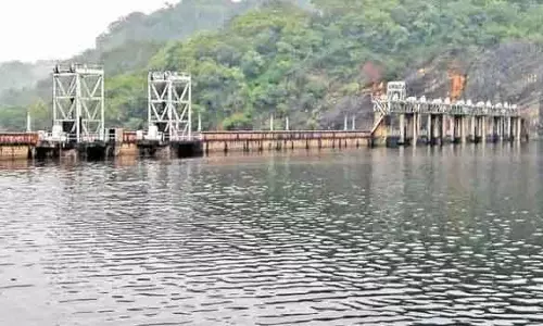 கனமழை: பாபநாசம், சேர்வலாறு அணைகள் நீர்மட்டம் உயர்வு