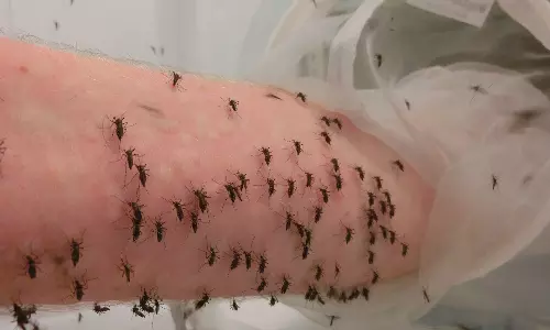 யார் சாமி நீ..? கொசுக்களுக்கு Blood Donate செய்யும் நபர்.. வைரல் வீடியோ