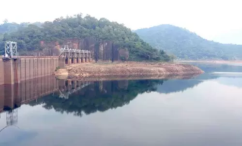 தொடர் மழை- நெல்லை, தென்காசி மாவட்டங்களில் அணைகள் நீர்மட்டம் தொடர்ந்து உயர்வு