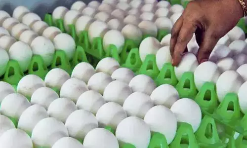 முட்டை விற்பனை அதிகரிப்பால் விலை ரூ.5.45 காசுகளாக உயர்வு