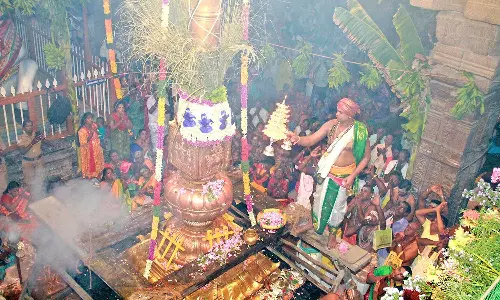 நெல்லையப்பர் கோவில் ஆனி பெருந்திருவிழா கொடியேற்றம்- திரளான பக்தர்கள் சுவாமி தரிசனம்