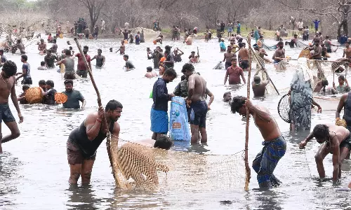 திண்டுக்கல் அருகே 20 வருடங்களுக்கு பிறகு நடந்த மத நல்லிணக்க மீன்பிடி திருவிழா
