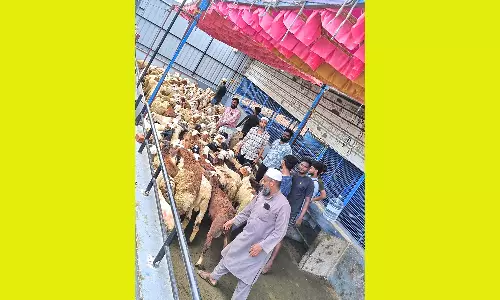 சென்னையில் பக்ரீத் பண்டிகைக்கு 40 ஆயிரம் ஆடுகள் விற்பனை