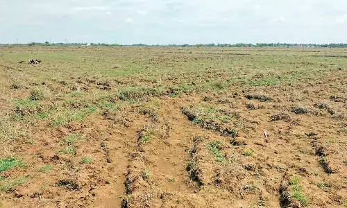 மேட்டூர் அணை திறப்பு தள்ளிப்போவதால் கேள்விக்குறியாகும் குறுவை சாகுபடி- விவசாயிகள் கவலை