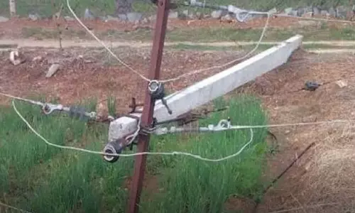 தோட்டத்துக்குள் புகுந்து மின் கம்பத்தை உடைத்து சேதப்படுத்திய காட்டு யானைகள்