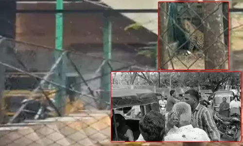 திருப்பத்தூரில் பள்ளி, குடியிருப்பு பகுதிக்குள் நுழைந்த சிறுத்தையால் பரபரப்பு