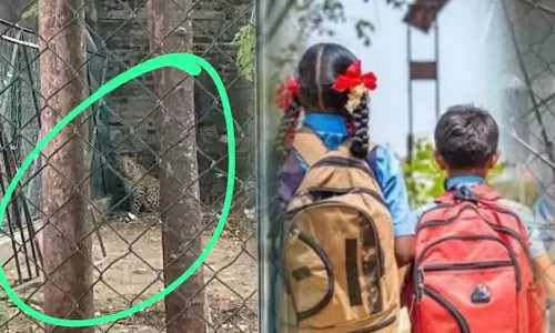 திருப்பத்தூர் பள்ளிகளுக்கு நாளை விடுமுறை- மாவட்ட ஆட்சியர்