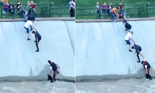 மனித சங்கிலி உருவாக்கி நாயை மீட்ட குழுவினர்- வீடியோ வைரல்