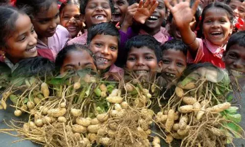 குழந்தைகளின் அதிவேக வளர்ச்சிக்கு உதவும் எளிய நட்ஸ்!