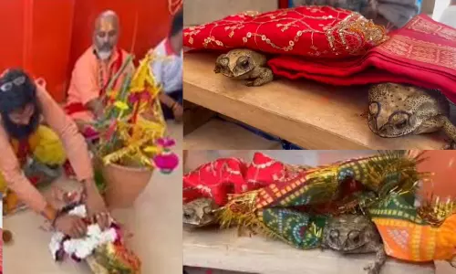 இந்து முறைப்படி மேள தாளங்களுடன் தவளைகளுக்கு விமரிசையாக நடந்த திருமணம்.. வைரல் வீடியோ