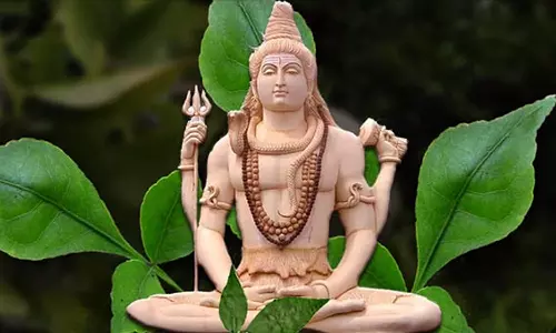 ஒரு லட்சம் தங்க புஷ்பங்களுக்கு இணையான வில்வம்