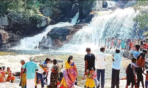 பக்ரீத் பண்டிகை: உடுமலை பஞ்சலிங்க அருவியில் குளிக்க சுற்றுலாப் பயணிகள் குவிந்தனர்