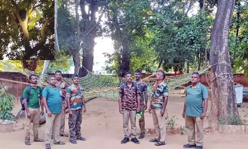 மணிமுத்தாறு ஊருக்குள் கரடி புகுந்ததால் பரபரப்பு