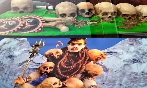 கவலையை மறக்க தவளை விஷம்:திருவண்ணாமலையில் போதை திருவிழா