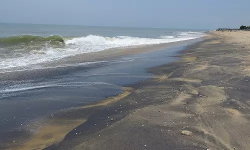 பழவேற்காடு கடற்கரை கருப்பாக மாறியது: தொழிற்சாலை கழிவுநீர் காரணமா?