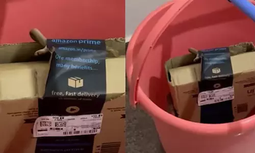 அமேசான் ஆர்டரில் உயிருடன் டெலிவரி செய்யப்பட்ட நாகப்பாம்பு - அதிர்ச்சி வீடியோ