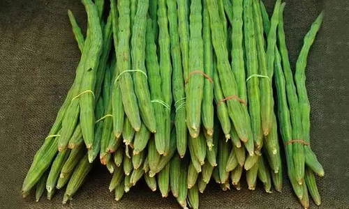 முருங்கைக்காய் கிலோ ரூ.150 ஆக அதிகரிப்பு