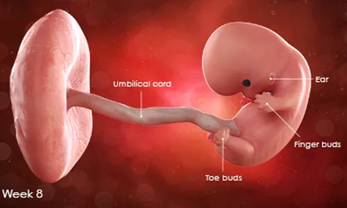 45 நாட்கள் கர்ப்பம் எப்படி இருக்கும்? எத்தனை வாரம்?