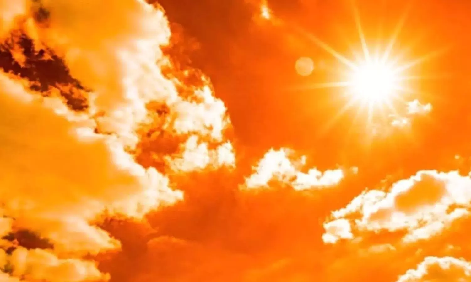 கடும் வெப்ப அலை எதிரொலி: இந்தியாவில் 114 பேர் பலி