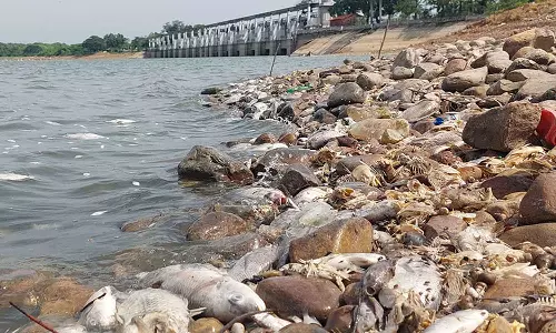 பூண்டி ஏரியில் இருந்து புழலுக்கு தண்ணீர் திறப்பு நிறுத்தம்