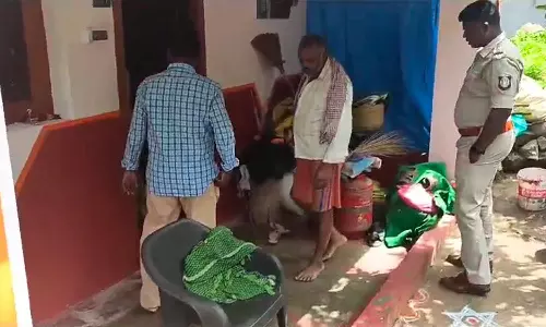 மலை கிராமங்களில் போலீசார் விடிய விடிய சாராய வேட்டை