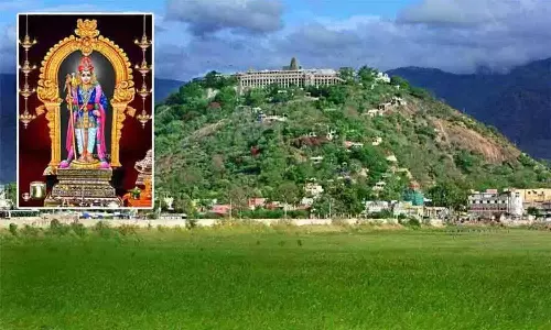 பழனி கோவிலின் முப்பரிமாண காட்சியை பார்க்க சிறப்பு வசதி