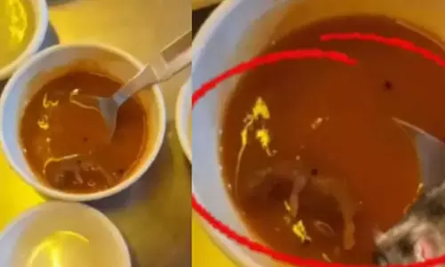 தோசையுடன் வழங்கிய சாம்பாரில் எலி - வைரல் வீடியோ