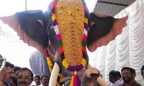 கேரளா: கோவிலுக்கு மெக்கானிக்கல் யானையை பரிசாக வழங்கிய பீட்டா இந்தியா