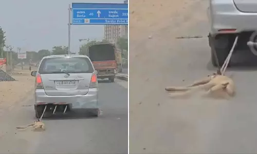 குஜராத்தில் கொடூரம்: காரின் பின்னே கயிற்றால் கட்டப்பட்டு இழுத்துச் செல்லப்பட்ட நாய்
