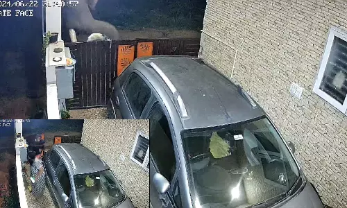 வீட்டு வாசலில் தம்பதியை துரத்தி தாக்க முயன்ற ஒற்றை காட்டு யானை