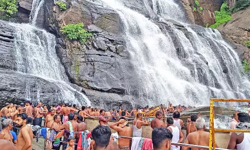 தென்காசி மாவட்டத்தில் அணை பகுதிகளில் பரவலாக மழை