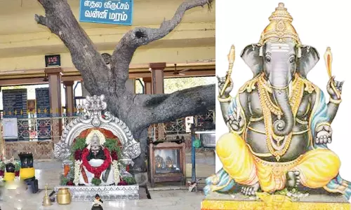 விநாயகர் வழிபாட்டால் விலகும் தோஷங்கள்!