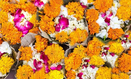 தெய்வங்களுக்குரிய மலர்கள்