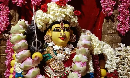 அம்பிகைக்கு உகந்த மலர்கள்