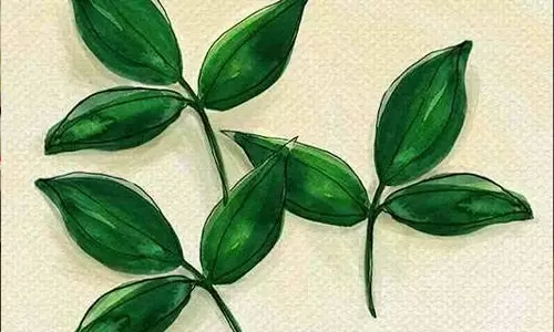 எட்டு வகை மலர்கள் சாத்தப்படும் இடங்கள்